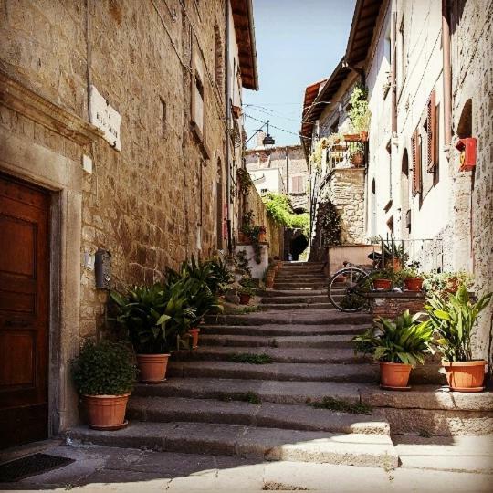 Residenza Turistica Di Via Delle Caiole 32 Viterbo Exterior foto